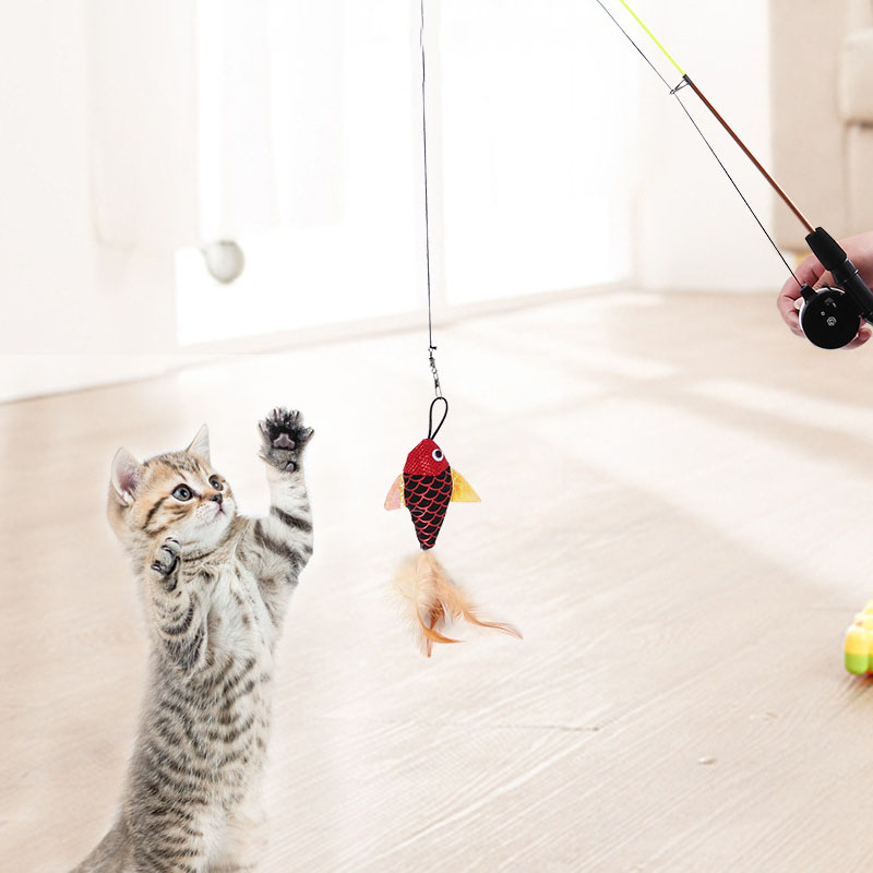 Maxbell Cat Teaser Wand Toy Adjustable Training Interactive Retractable  Fishing Pole Crucian Carp - Aladdin Shoppers at Rs 1146.00, New Delhi