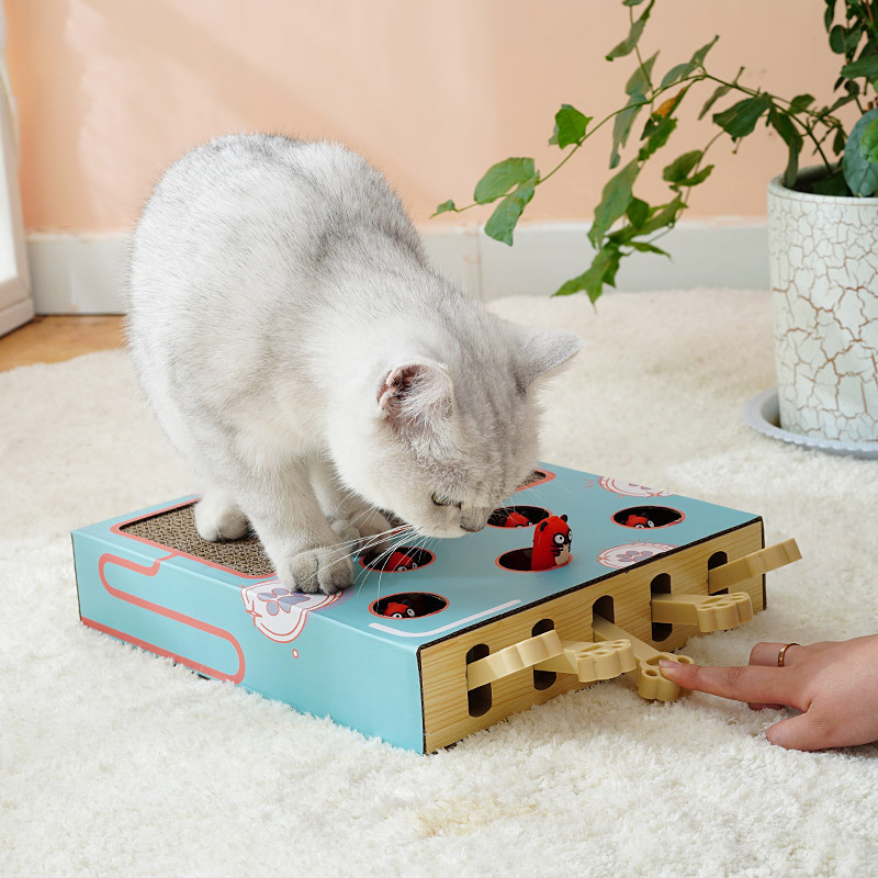 https://www.petzo.net/wp-content/uploads/2023/04/Cat-Whack-a-Mole-Toy-with-Scratch-Pad-Interactive-Enrichment-Toys-for-Indoor-Cats-2-1.jpg